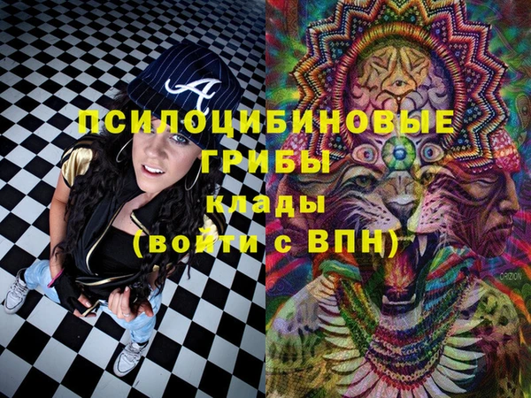 ПСИЛОЦИБИНОВЫЕ ГРИБЫ Кинешма